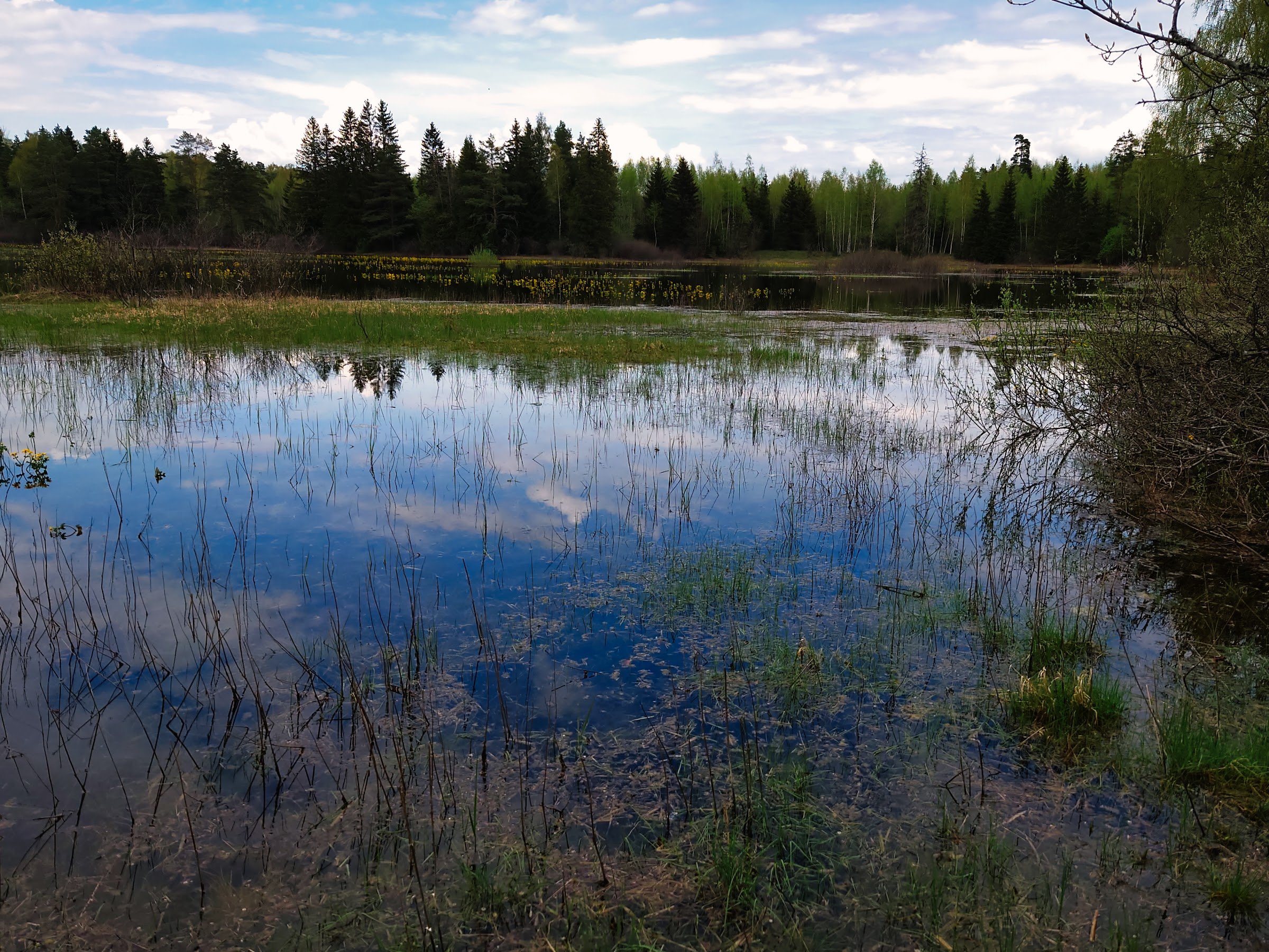 RMK Mardihansu lõkkekoht